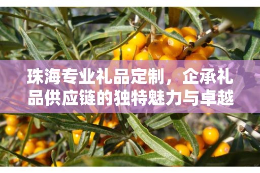 珠海专业礼品定制，企承礼品供应链的独特魅力与卓越服务